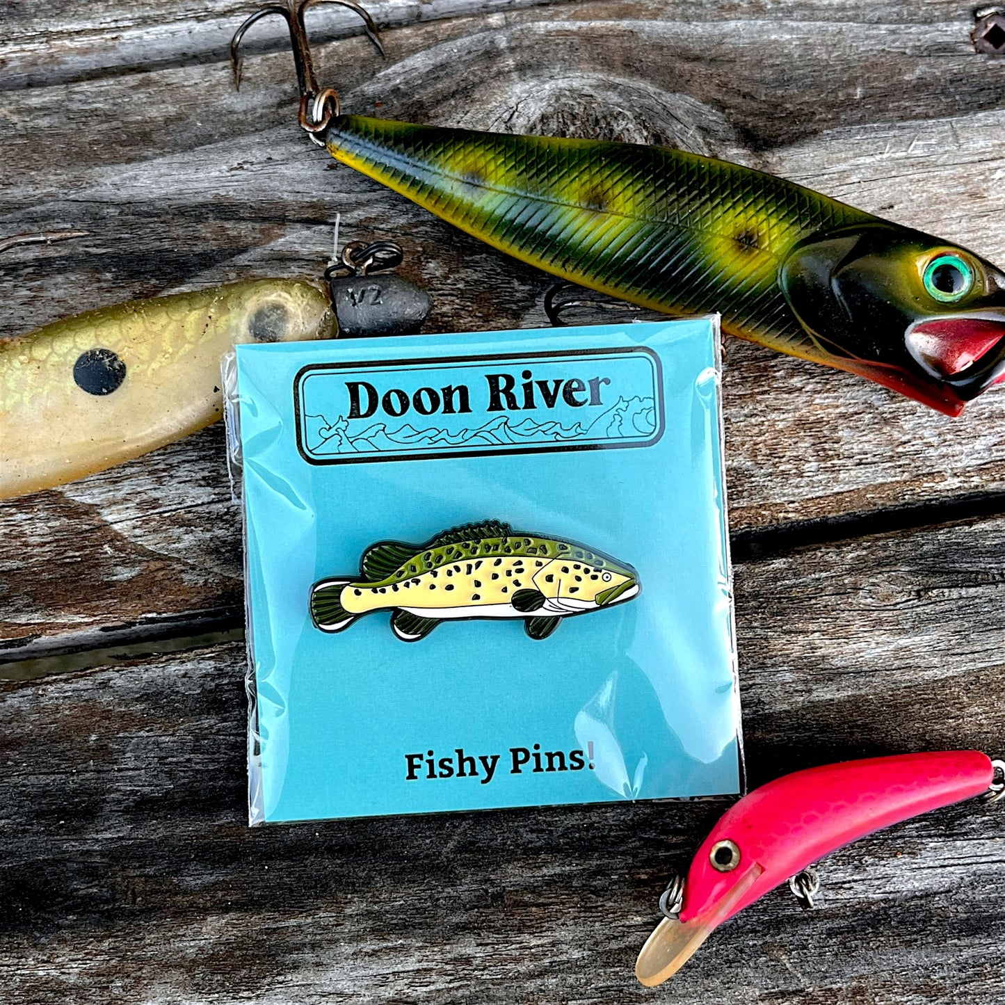 Murray Cod