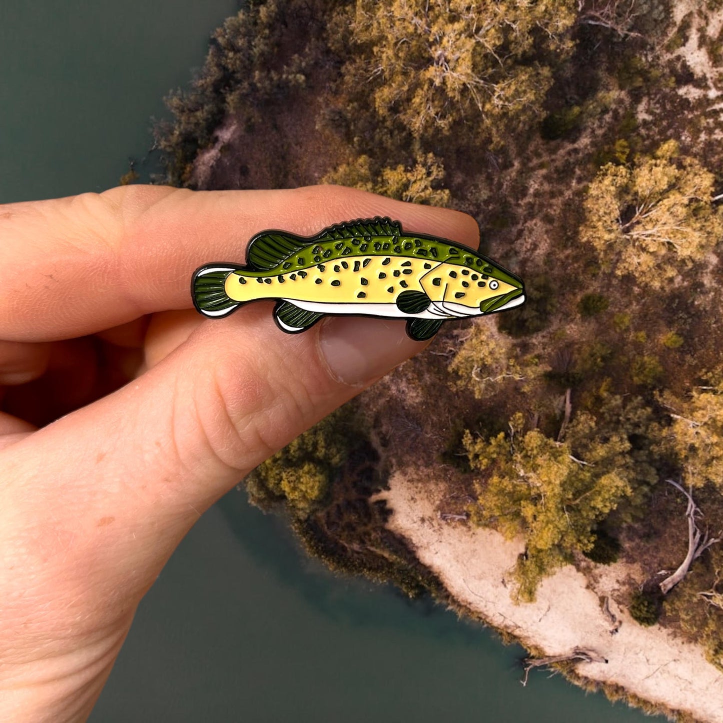 Murray Cod