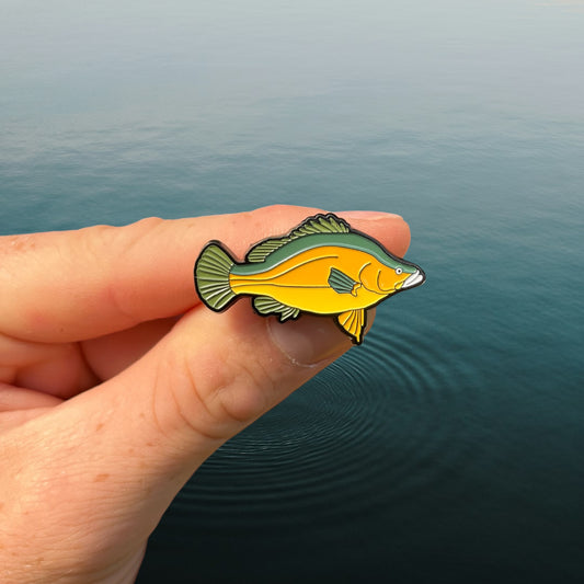 Golden Perch Pin