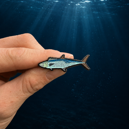 Spanish Mackerel Pin