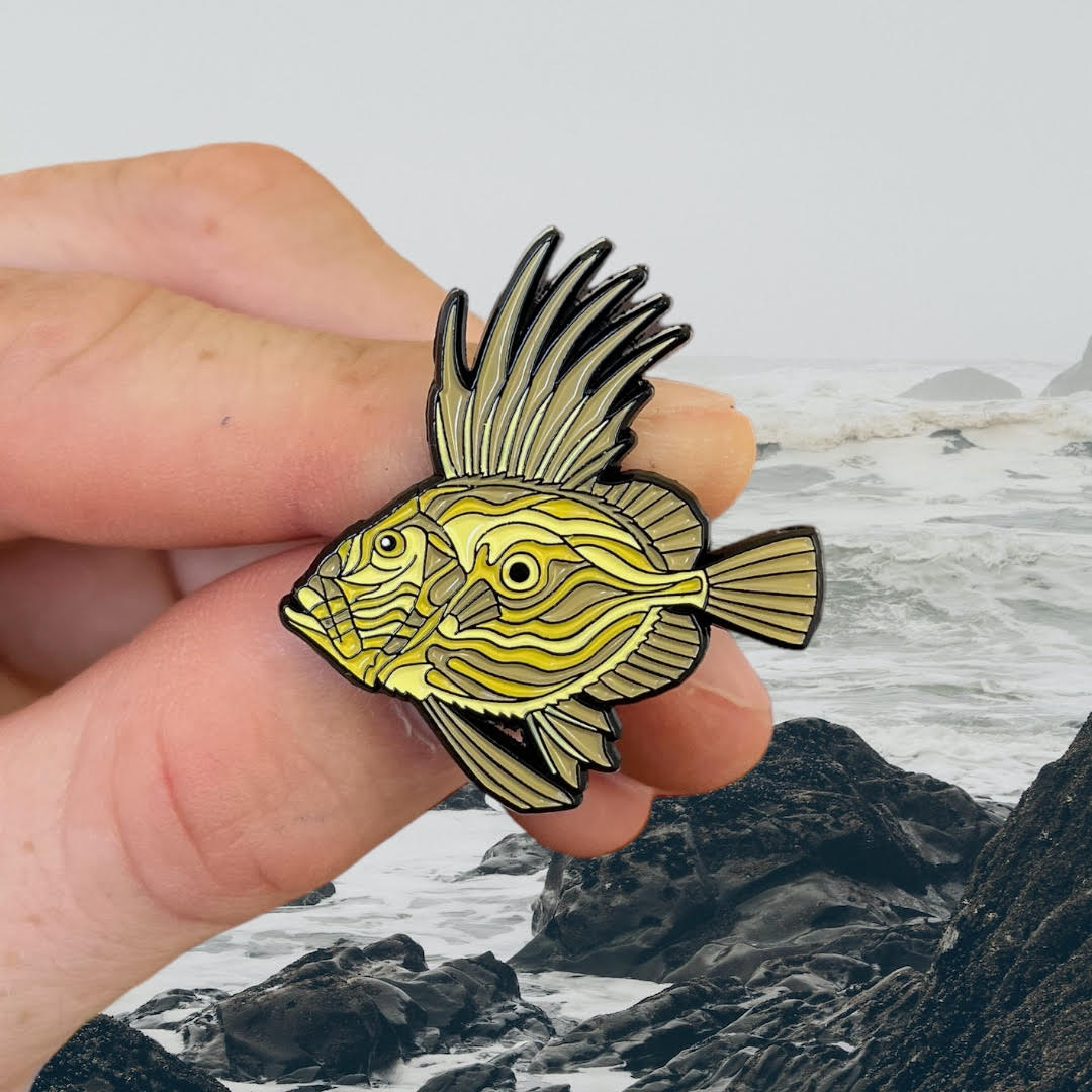Welcome to Doon River: Home of the Fishy Pins!